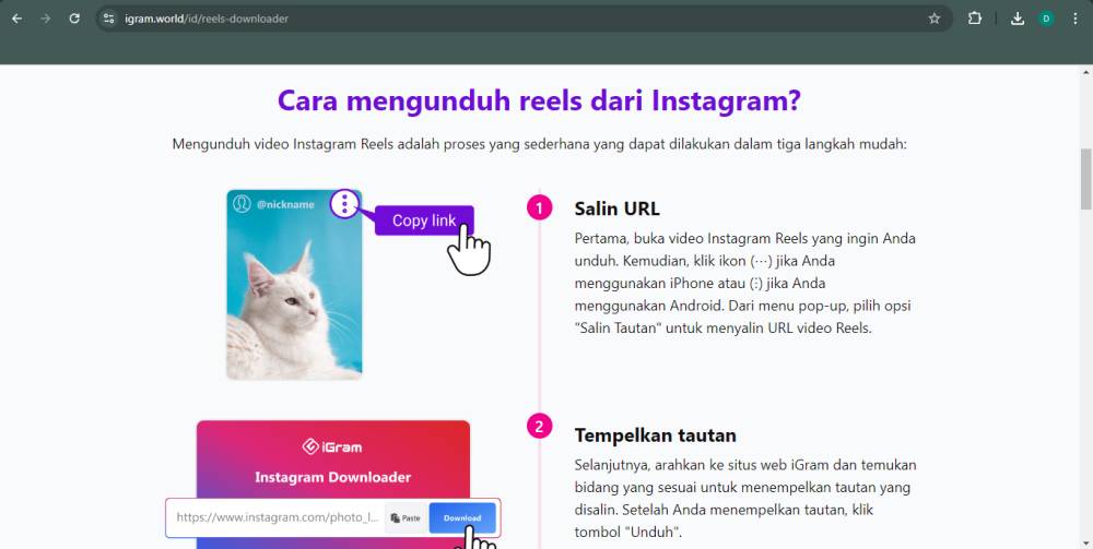 tampilan website iGram (igram.world)