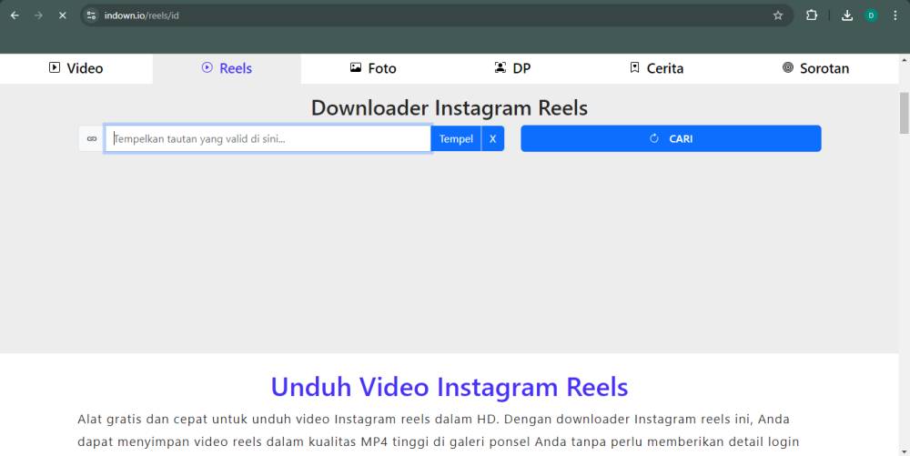 tampilan website InDown.io (indown.io)