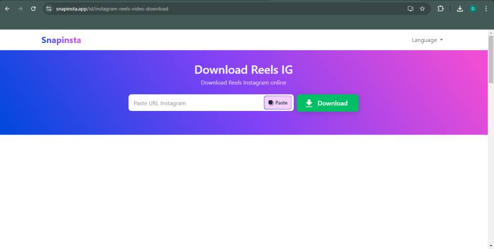 tampilan website Snapinsta (snapinsta.app)
