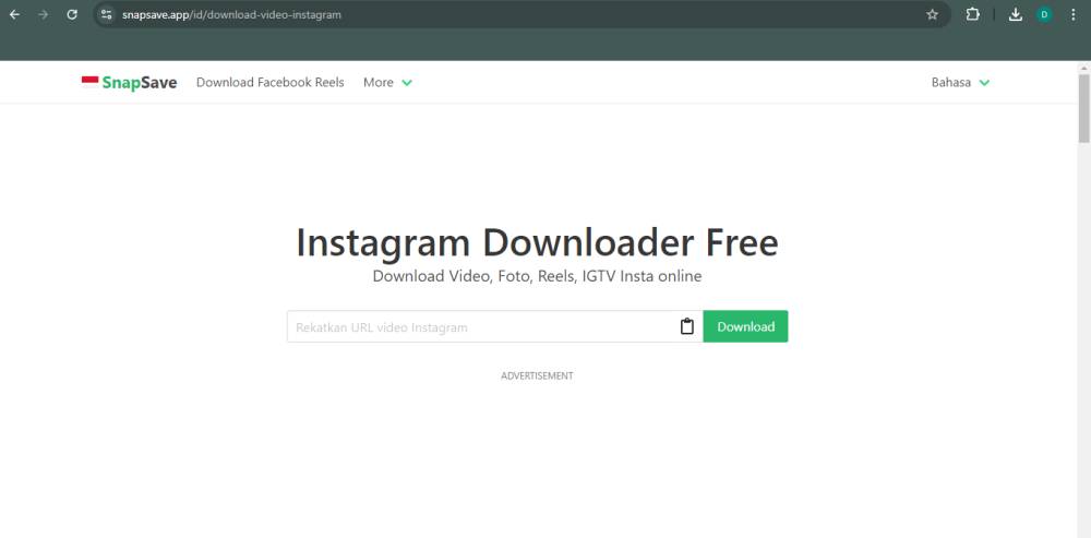 tampilan website SnapSave (snapsave.app)