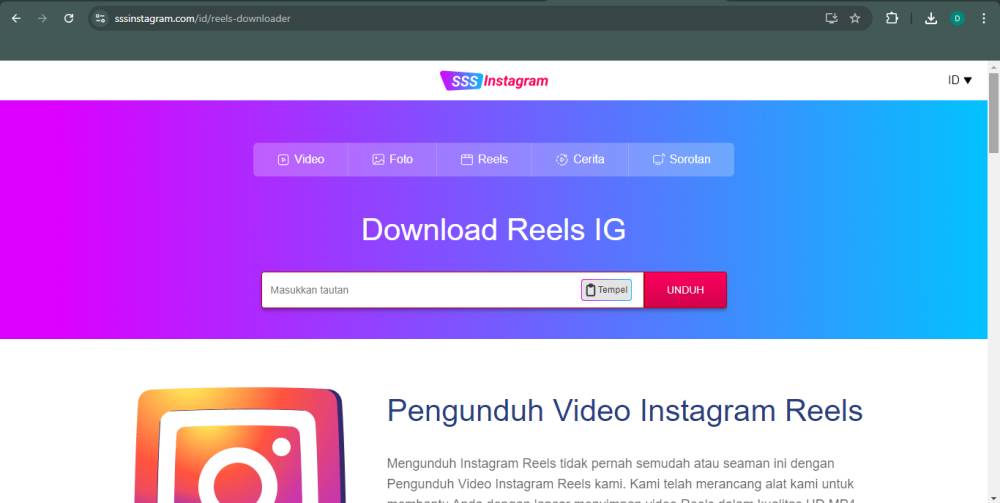 tampilan website SSSInstagram (sssinstagram.com)