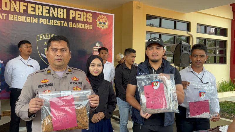 IDN Times/Istimewa