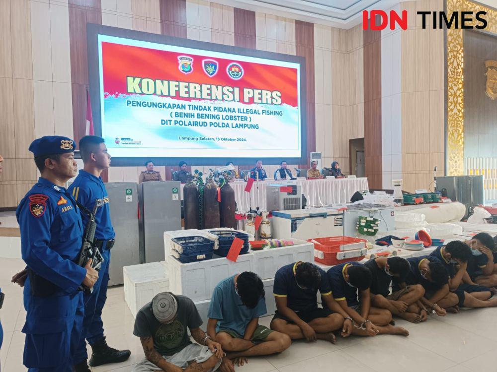 149 Ribu Benih Lobster Diungkap Polda Lampung Bernilai Rp37 Miliar
