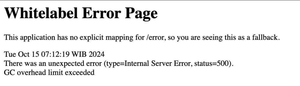 Notifikasi Whitelabel Error Page saat ingin mengunduh kartu ujian SKD CPNS di laman SSCASN (dok.pribadi/Reyvan Maulid)
