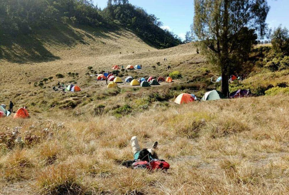 Sabana Gunung Butak. Instagram/satupendaki.id