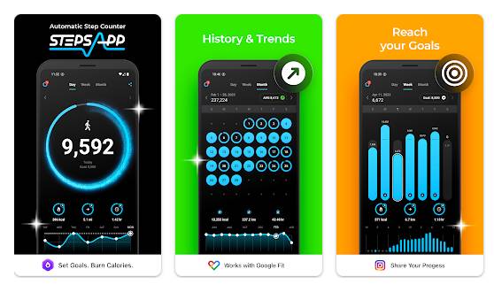 tampilan aplikasi StepsApp (dok. Google Play Store/StepsApp)
