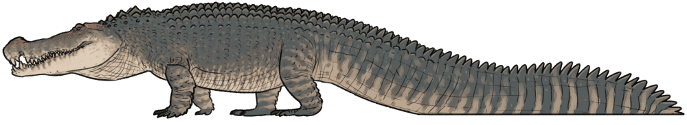 Ilustrasi Deinosuchus (commons.wikimedia.org/Connor Ashbridge)