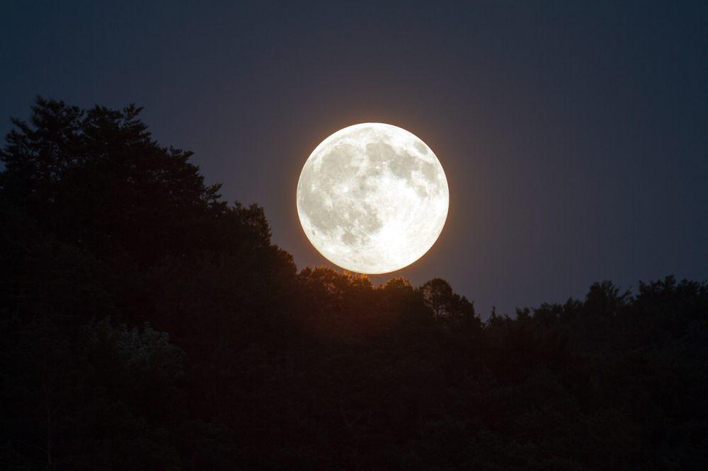 5 Fakta Hunter Moon, Bulan Purnama Terbesar di Tahun 2024