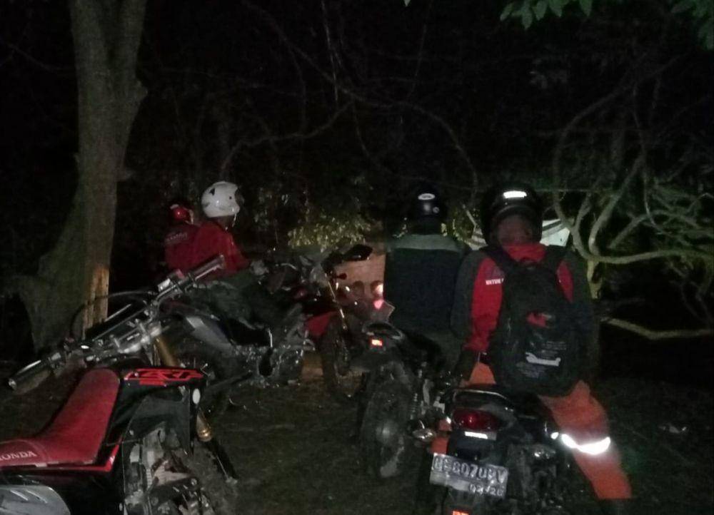 Karhutla seluas 350 hektare di Taman Nasional Way Kambas, Lampung Timur. (Dok. Polda Lampung).