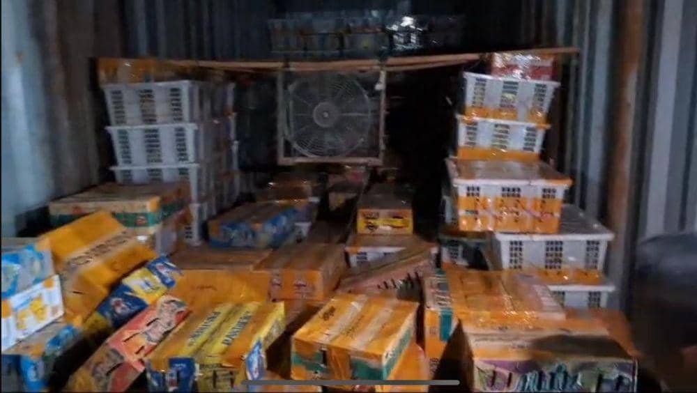 Pengungkapan penyelundupan satwa liar burung 6.514 ekor di Pelabuhan BBJ, Lampung Selatan. (Dok. Karantina Lampung).