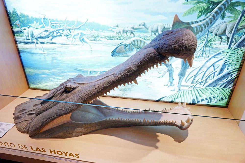 Rekonstruksi kepala Sarcosuchus, salah satu reptil purba yang sering dikira buaya (commons.wikimedia.org/Tiia Monto)