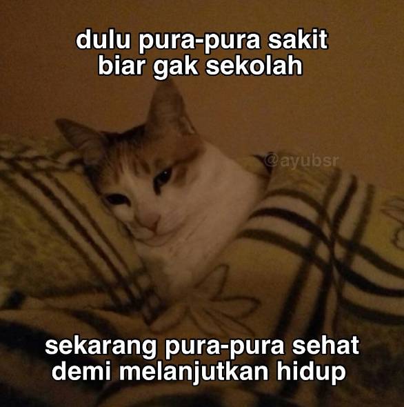 meme pura-pura dewasa (instagram.com/yestevday)