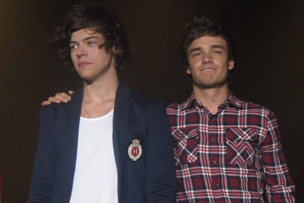 Harry Styles dan Liam Payne saat manggung sebagai grup One Direction (commons.wikimedia.org/karina3094)