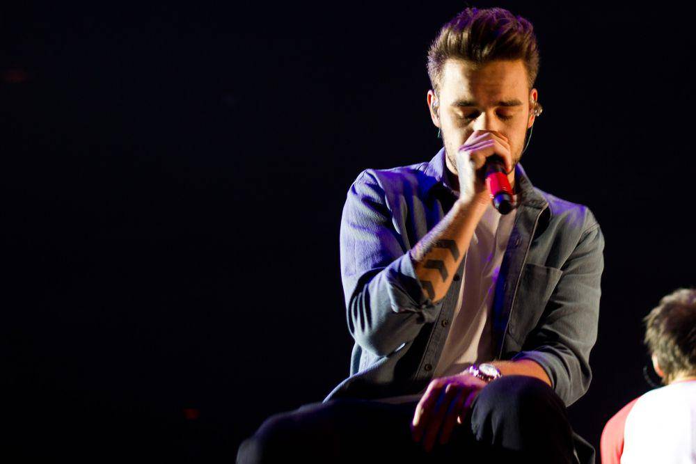 Liam Payne dalam tur konser One Direction, On The Road Again di Birmingham (commons.wikimedia.org/vagueonthehow)