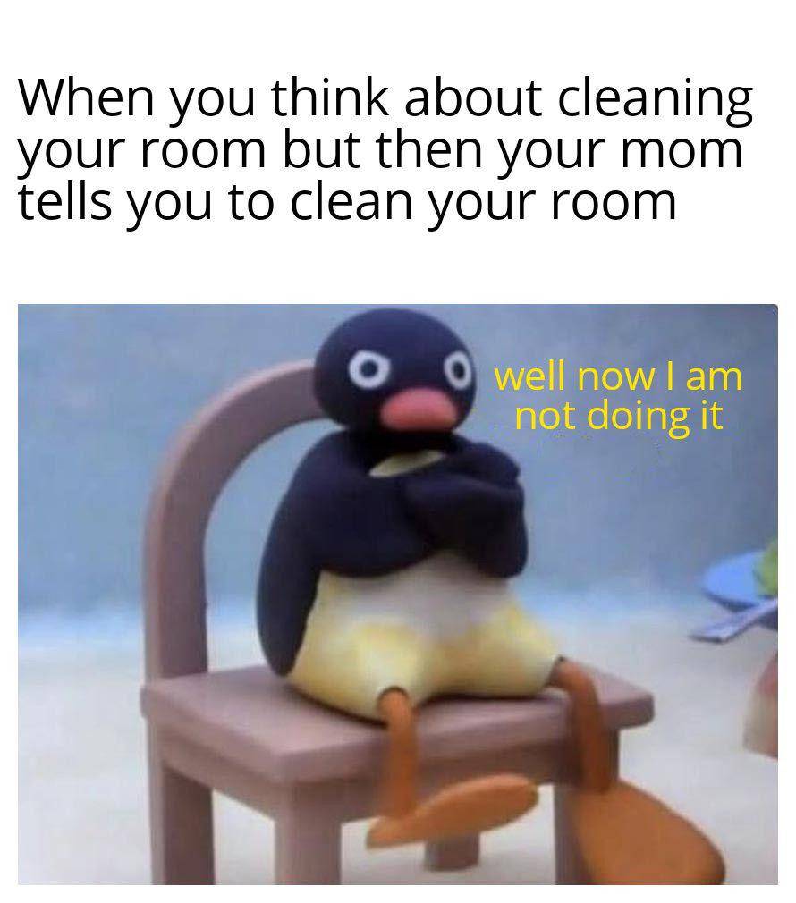 meme bersih-bersih kamar (reddit.com/stowboy1995)
