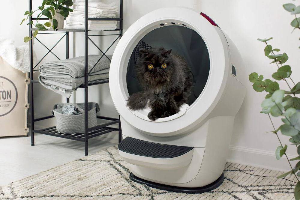 Litter Robot 4 (litter-robot.com)