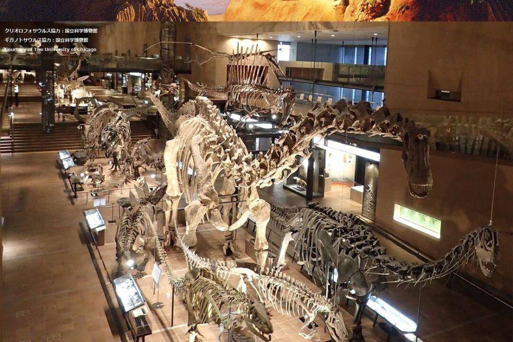 Museum Kitakyushu (instagram.com/goodvibes_fukuoka)