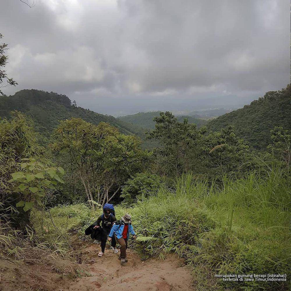 Jalur pendakian Gunung Wilis via Jurang Senggani, Tulungagung. Instagram/amazing_wilis