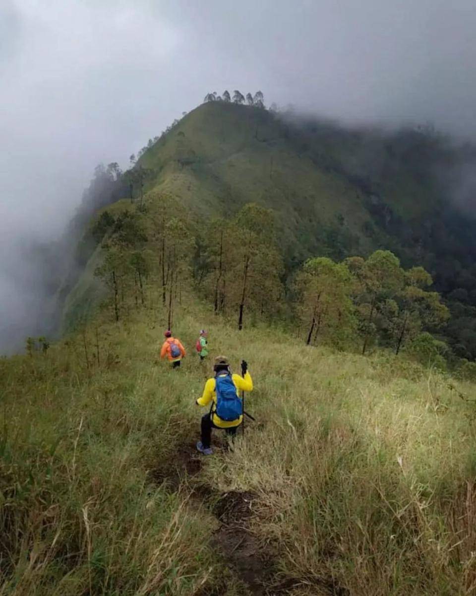 Medan yang ditempuh pendaki untuk sampai ke Puncak Jotani Gunung Wilis via Bareng, Nganjuk. Instagram/puncakjotani_wilisviabareng