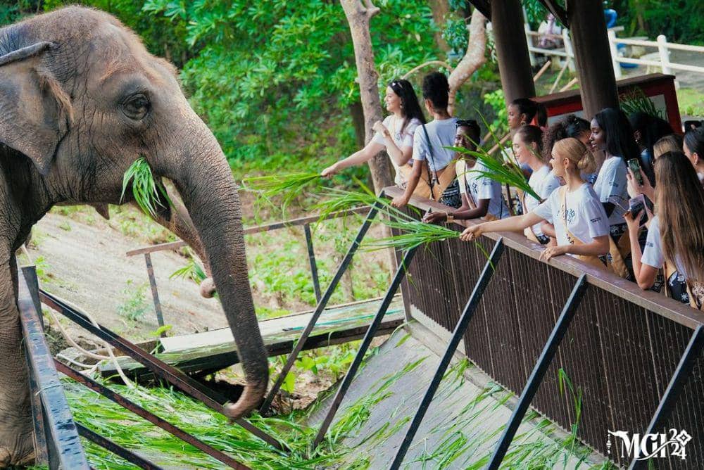 Potret Finalis Miss Grand International 2024 di Khao Kheow Open Zoo (Instagram.com/missgrandinternational)