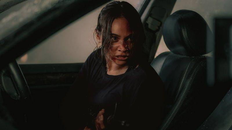 (Dok. Netflix/The Shadow Strays)