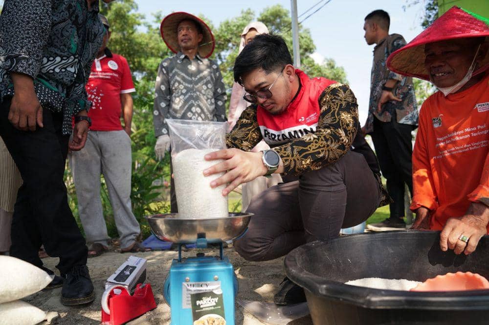 Mina Padi Banyuasin: Solusi Pertamina Wujudkan Pangan di Sumsel (Dok. Pertamina untuk IDN Times)