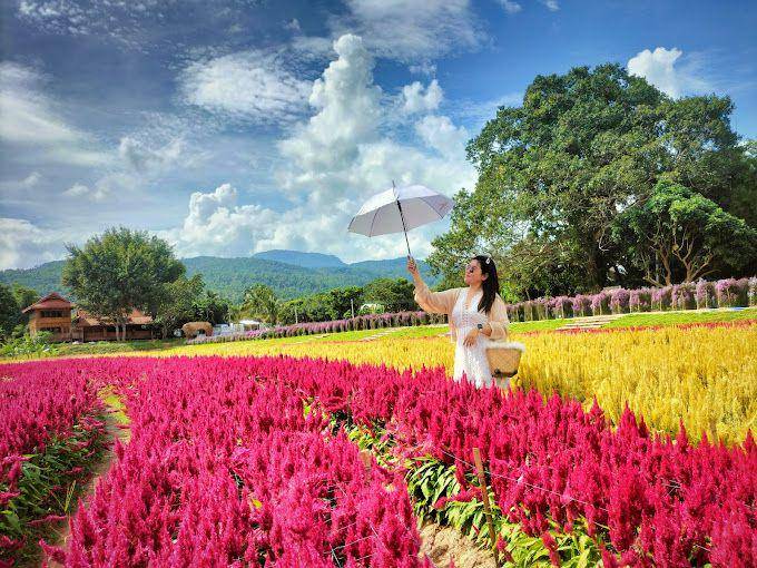 Sixflowers Garden, Thailand (google.com/maps/Phatcharin Suriyasak)