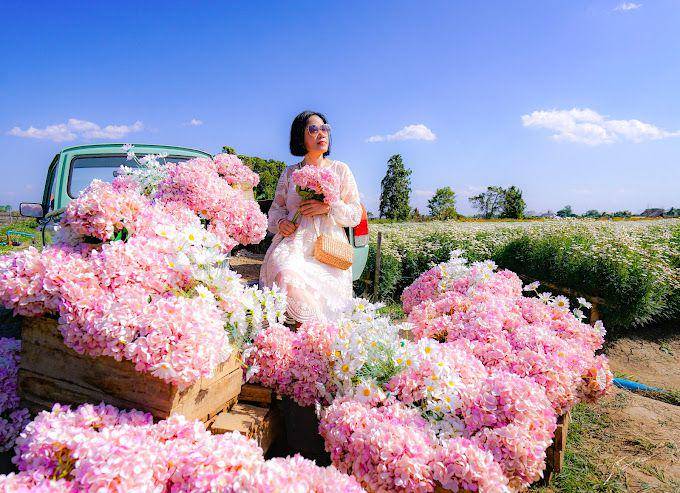 I love Flower Farm, Thailand (google.com/maps/Wallop Khonmanee)