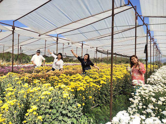 BigTae Garden, Thailand (google.com/maps/Tidarat Wongsahatakulchai)