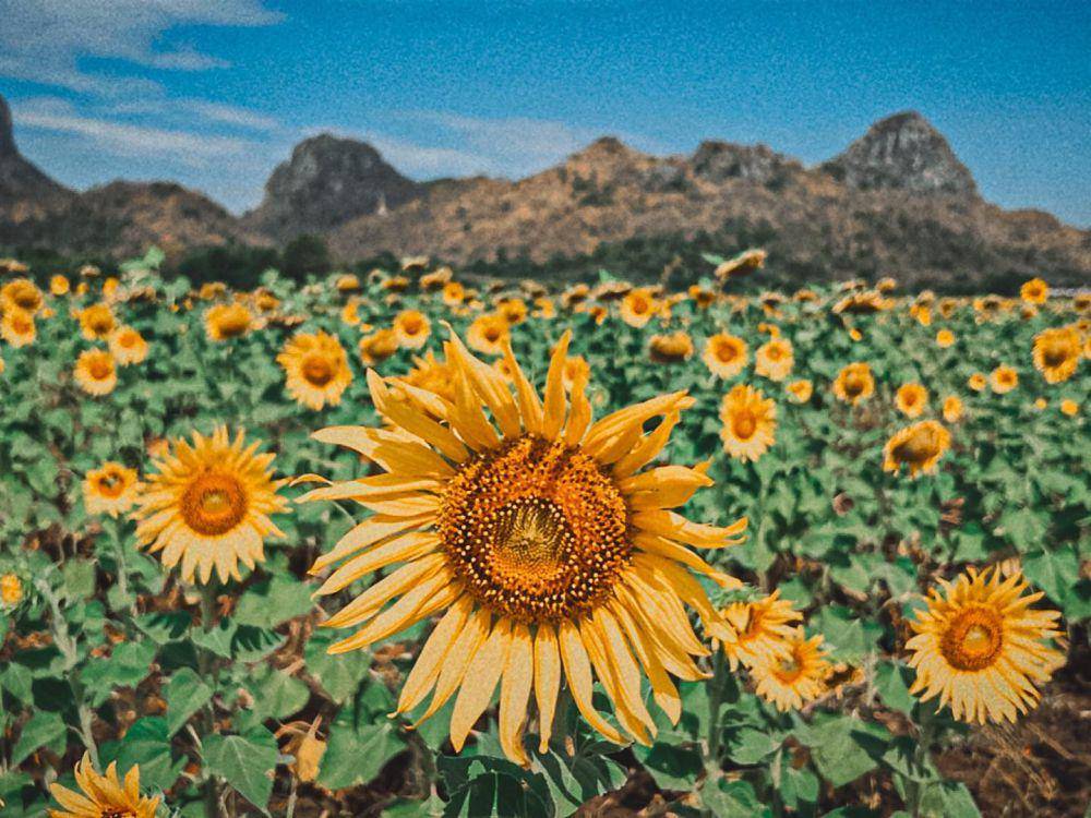 Khao Chin Lae, Thailand (instagram.com/mobmokky)