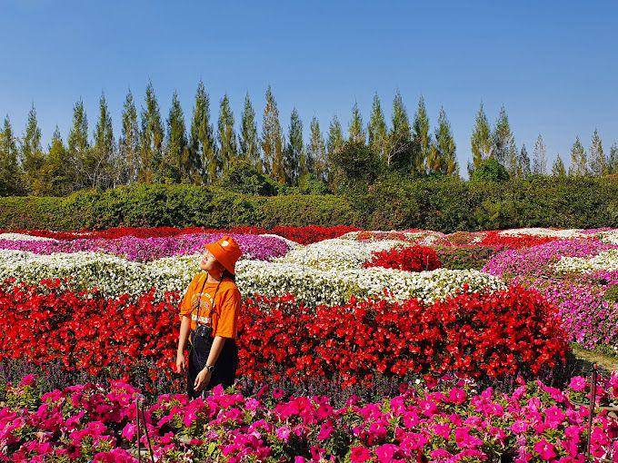 Flora Park, Thailand (google.com/maps/Thanaphorn Lhopatanakasem)