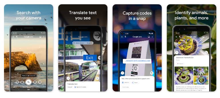 tampilan aplikasi Google Lens (dok. Google Play Store/Google Lens)