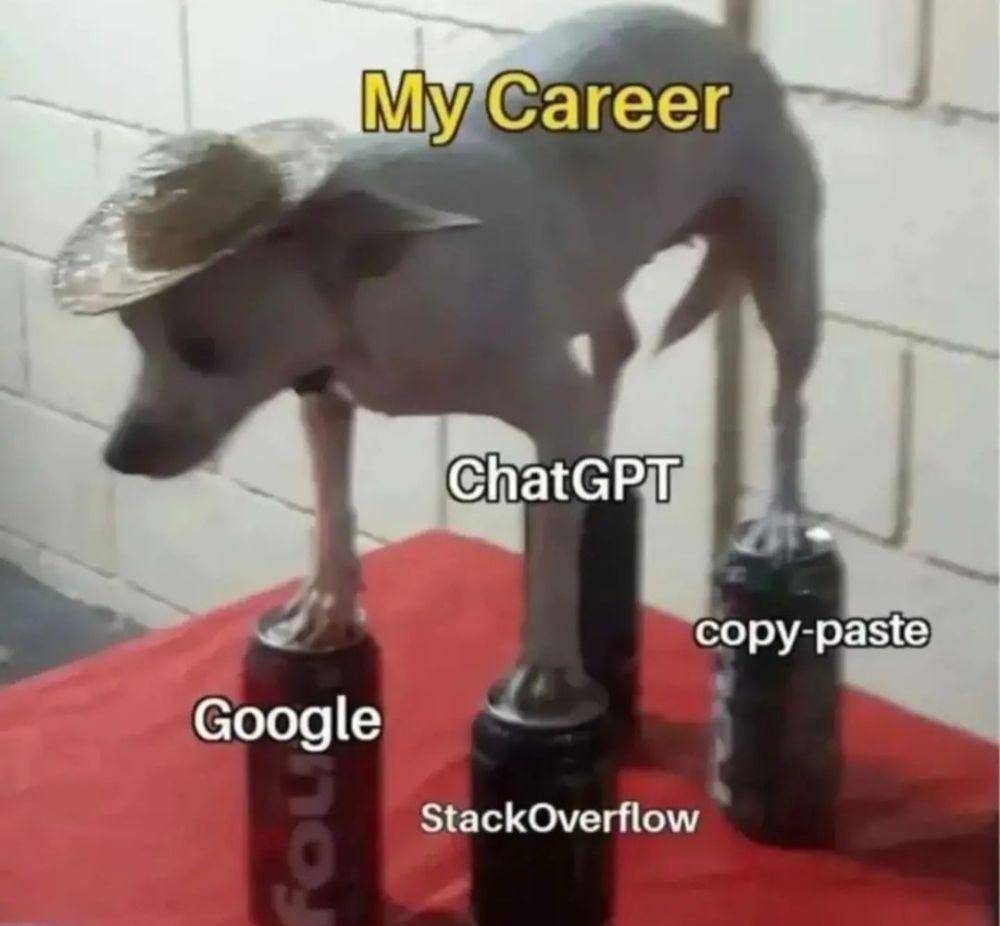 meme ChatGPT (instagram.com/_coding_hub__)