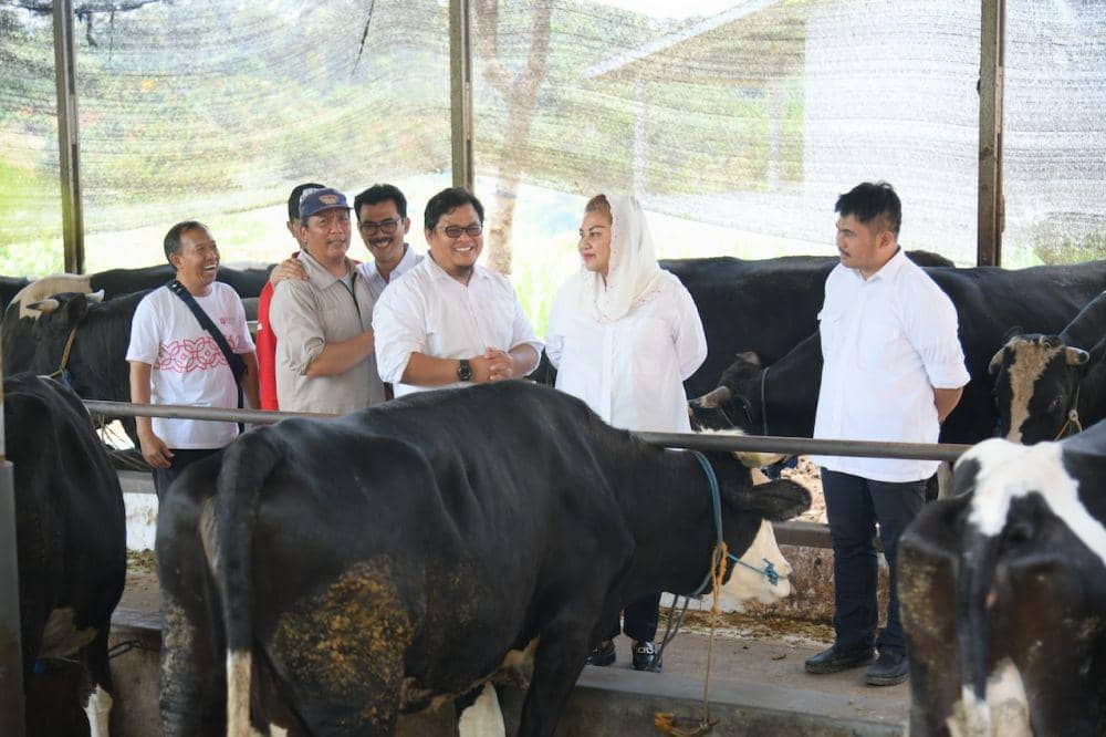 Wali Kota Semarang, Hevearita Gunaryanti Rahayu mengunjungi dan melihat secara langsung pengembangbiakan sapi wagyu dari Jepang di peternakan terpadu Jatirejo Farm, Kelurahan Jatirejo, Kecamatan Gunungpati, Kota Semarang, Kamis (17/10/2024). (dok. Pemkot Semarang)
