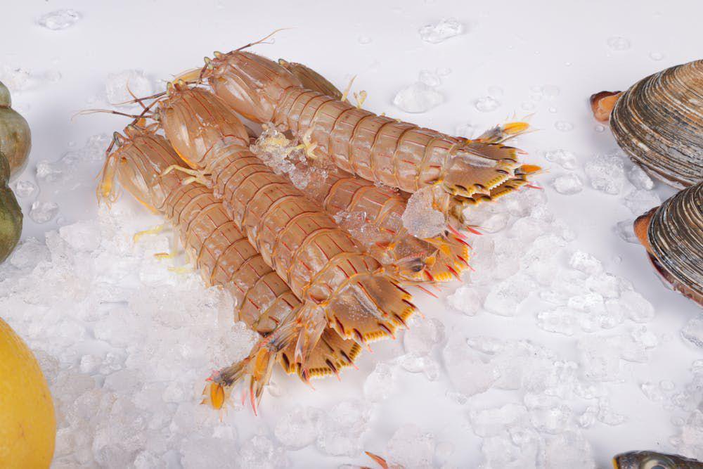 5 Alasan Seafood Sebaiknya Gak Dijastipkan, Rentan Basi