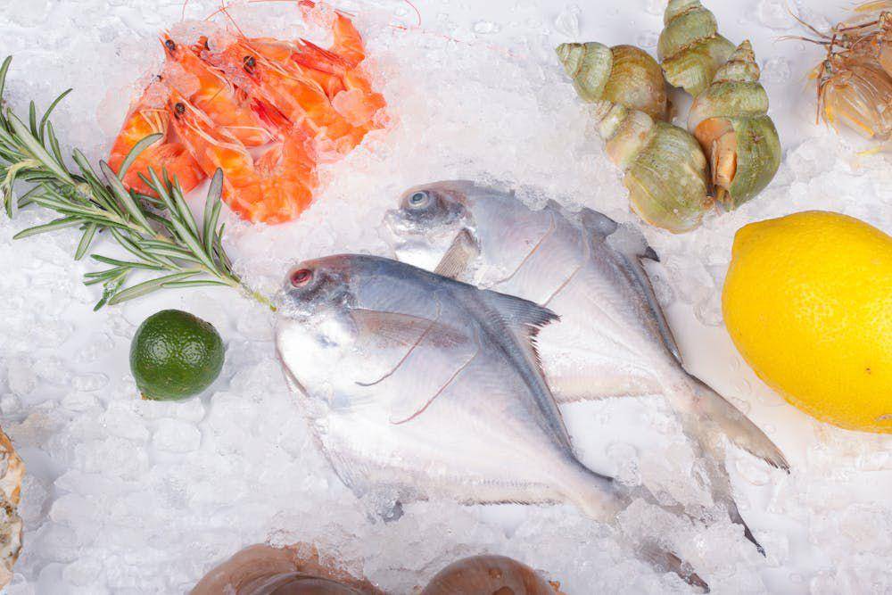 ilustrasi seafood yang disimpan dalam box es (pexels.com/Change C.C)