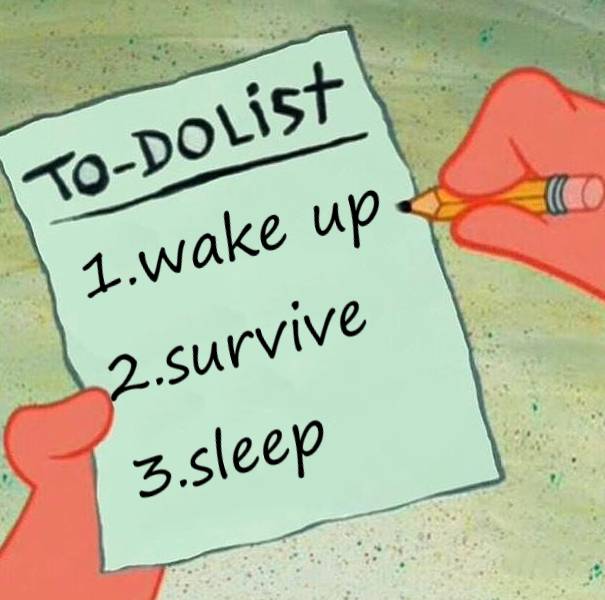 meme to do list (reddit.com/meme-nana)