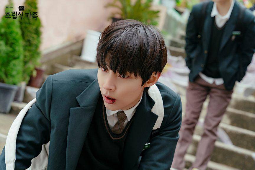 cuplikan drakor Family by Choice (dok. JTBC/Family by Choice)