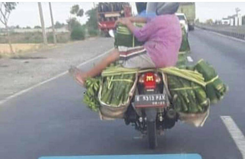 foto lucu naik daun (x.com/infoseni_)