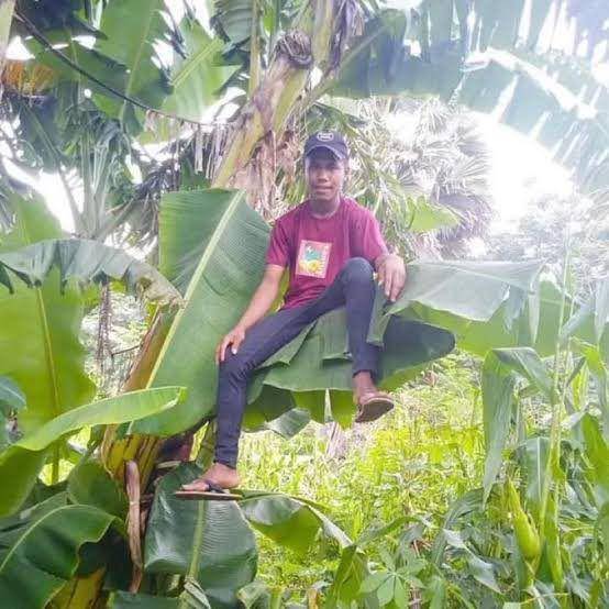 foto lucu naik daun (x.com/lambepaklurah)