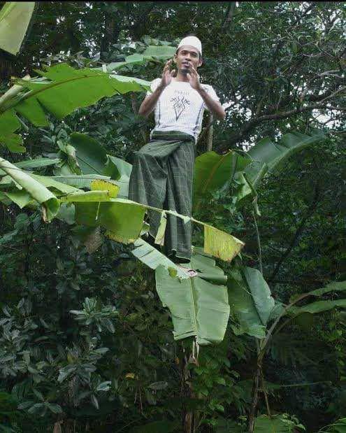 foto lucu naik daun (x.com/lambepaklurah)