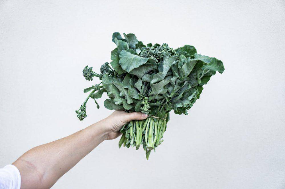 Ilustrasi kale (pexels.com/Anna Guerrero)