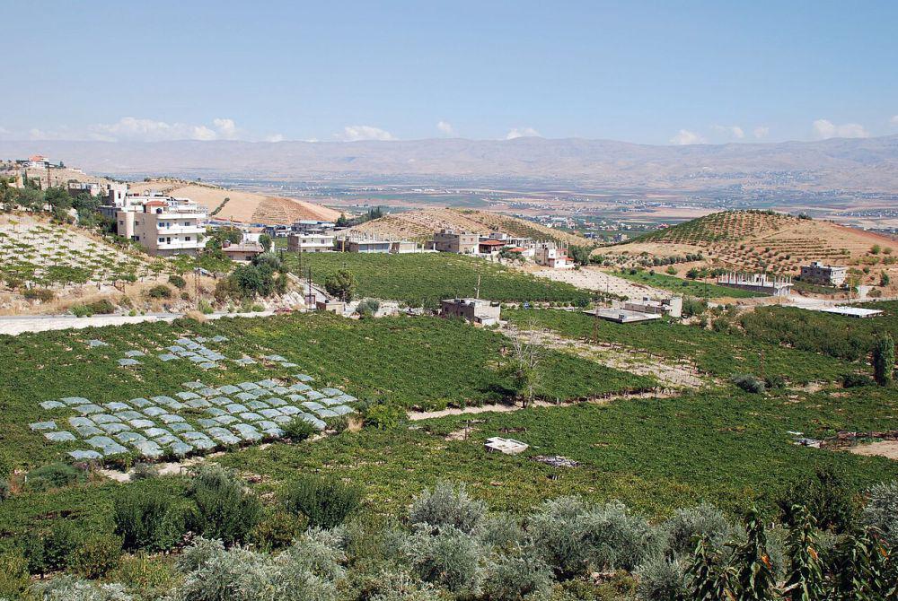 5 Fakta Lembah Bekaa, Lembah yang Subur di Lebanon