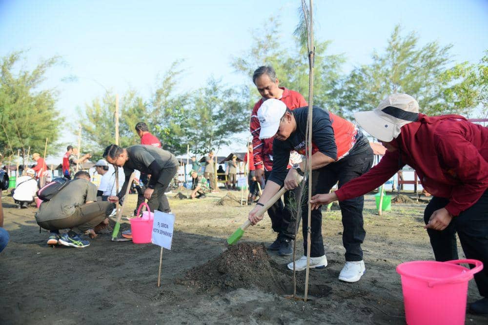Kegiatan bersih-bersih dan penanaman pohon cemara laut di Pantai Tirang Semarang. (dok. Pemkot Semarang)