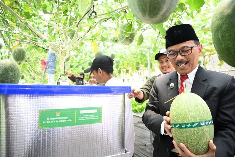 Kuningan dan Indramayu Berebut Jadi Sentra Melon