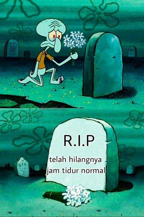 Meme kehilangan (x.com/dinulfadli_)