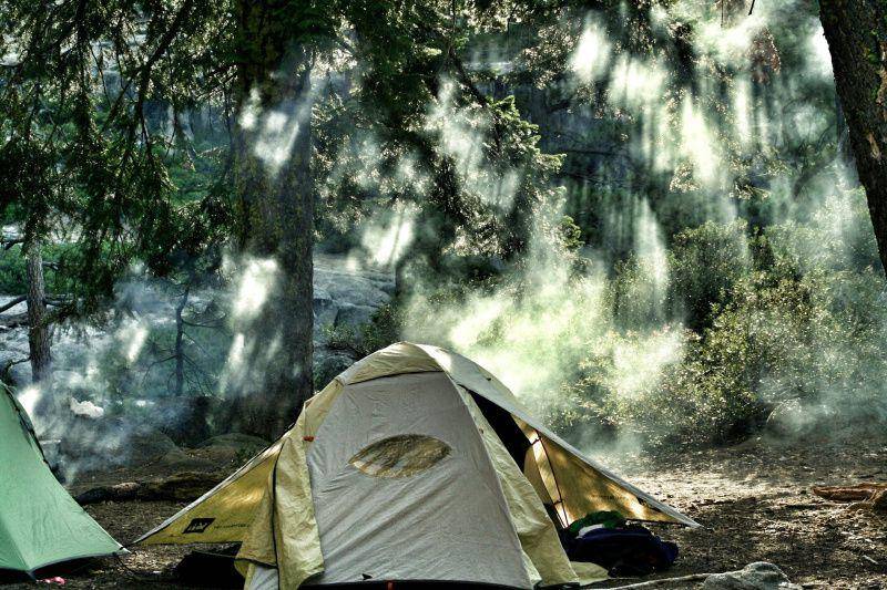 gambar tenda pendaki di tengah hutan (unsplash.com/Andrew Scofield)
