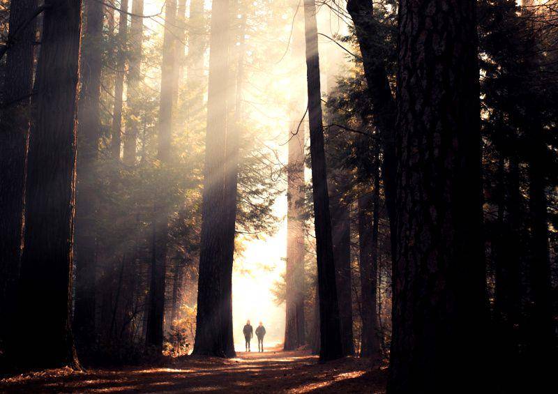 gambar dua orang pendaki berjalan di hutan (unsplash.com/Casey Horner)
