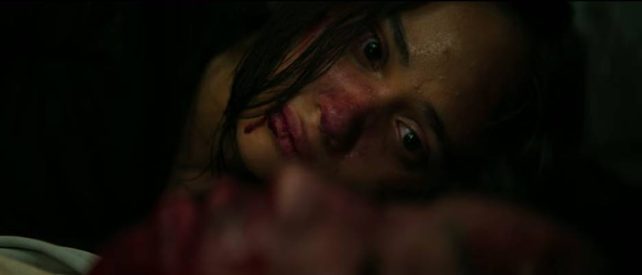 The Shadow Strays (dok. Frontier Pictures/The Shadow Strays)
