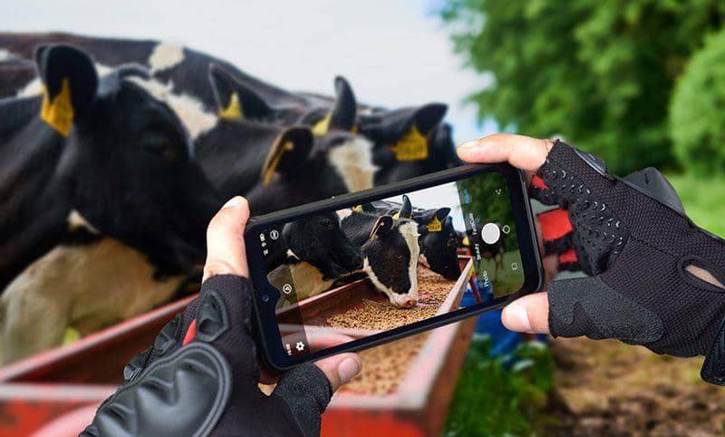 Blackview BV9800 Pro (dok. blackview.Hk/Blackview BV9800 Pro)